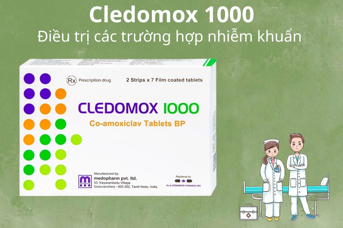 Cledomox 1000 9 Cledomox 1000