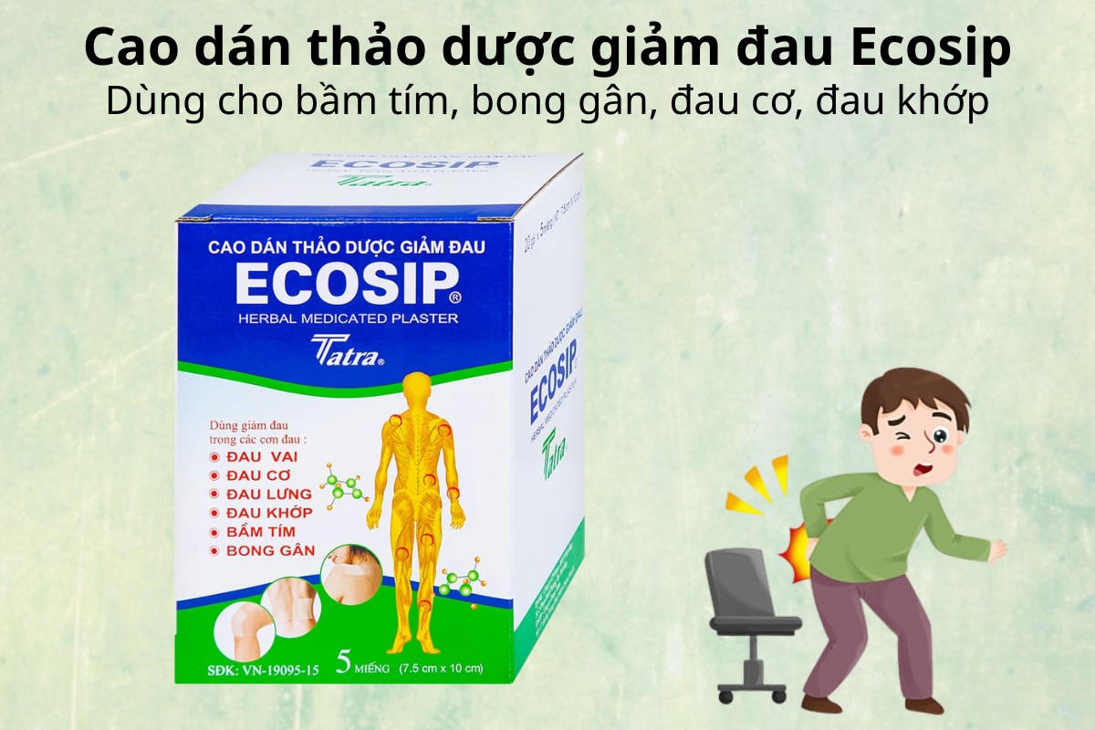 Cao dán thảo dược giảm đau Ecosip dùng cho bầm tím, bong tâm, đau cơ, đau khớp