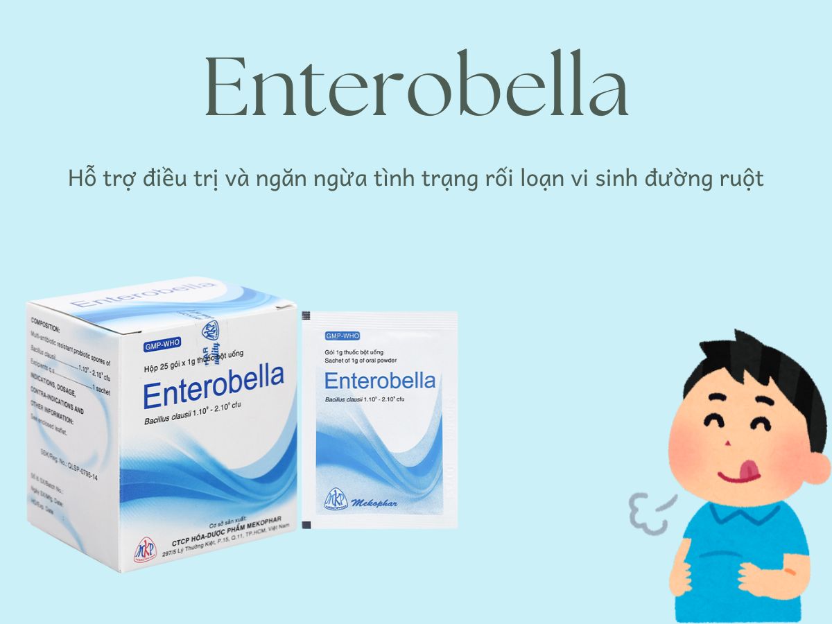 Enterobella (Thuốc bột uống) 11 Enterobella ngăn ngừa tình trạng rối loạn vi sinh đường ruột
