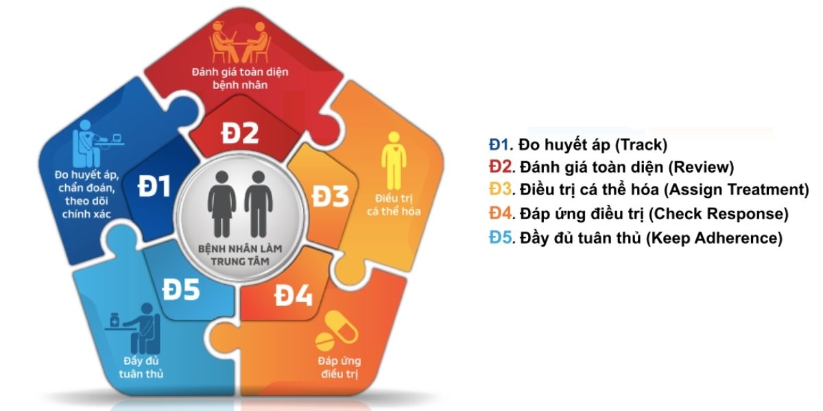 Hình 3. Lộ trình chiến lược 5Đ Thực Hành Lâm Sàng Quản Lý Tăng Huyết Áp tại Việt Nam