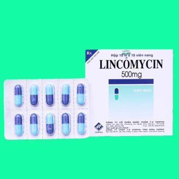Lincomycin 500mg Vidipha