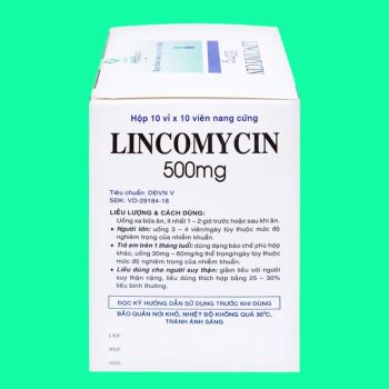 Lincomycin 500mg Vidipha