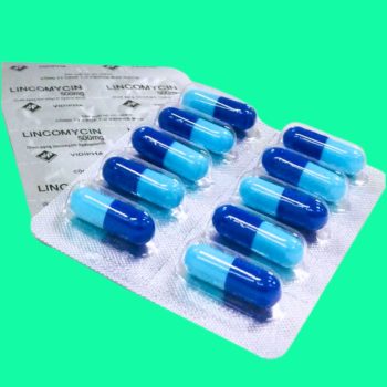 Lincomycin 500mg Vidipha