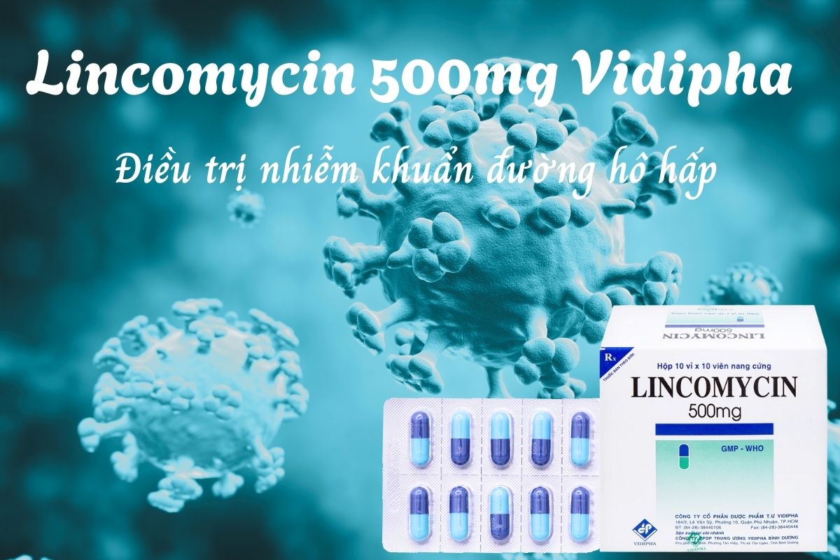 Lincomycin 500mg Vidipha