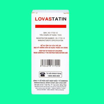 Lovastatin 20mg Domesco