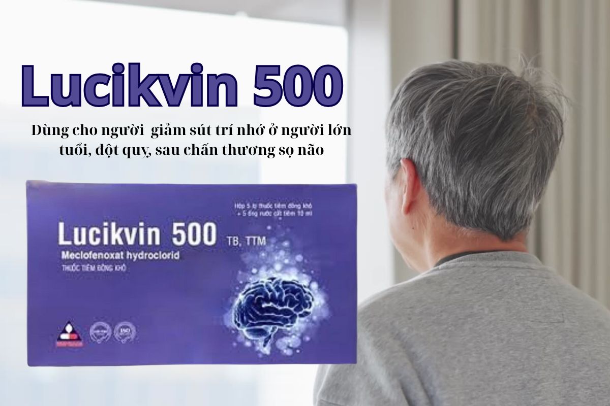 Lucikvin 500 6 Lucikvin 500