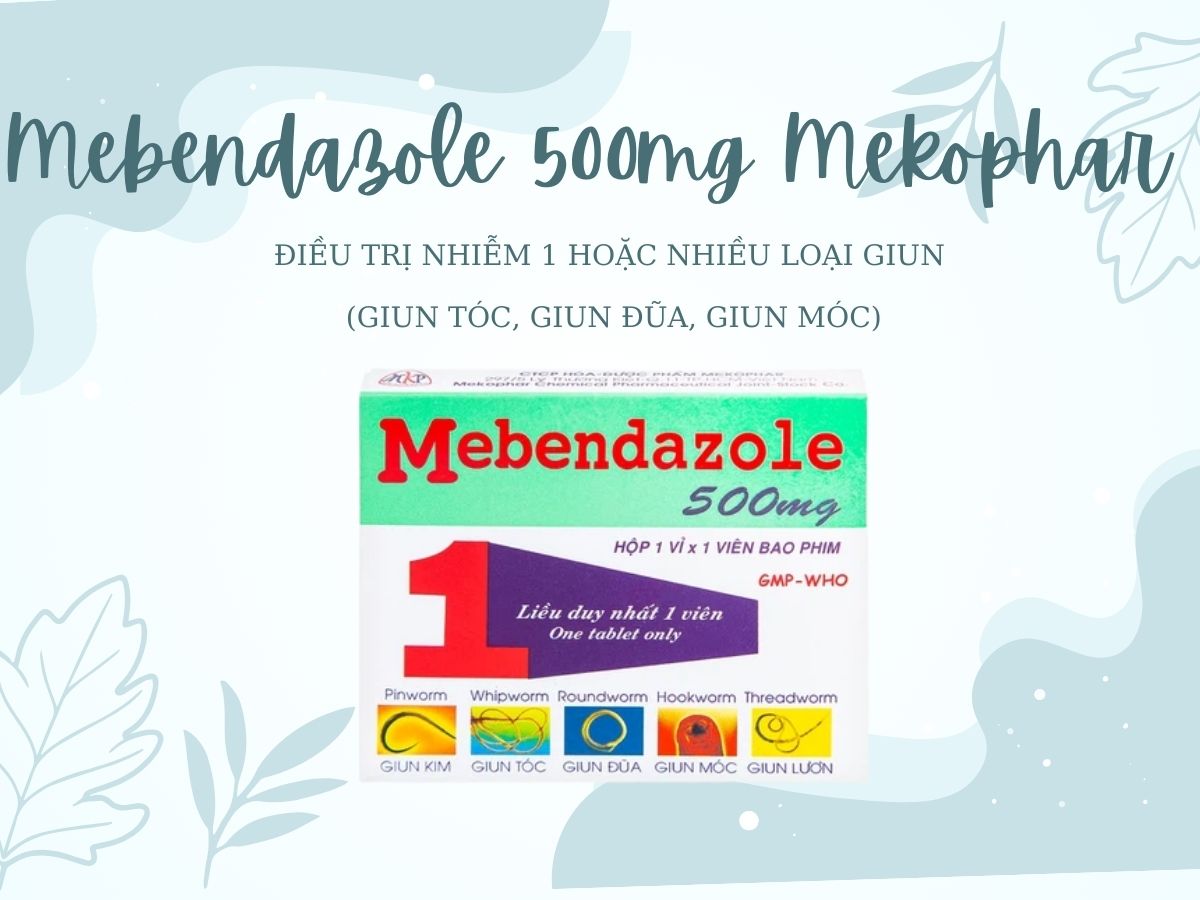 Mebendazole 500mg Mekophar điều trị bệnh giun