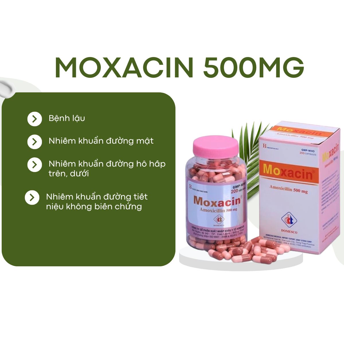 Moxacin 500mg