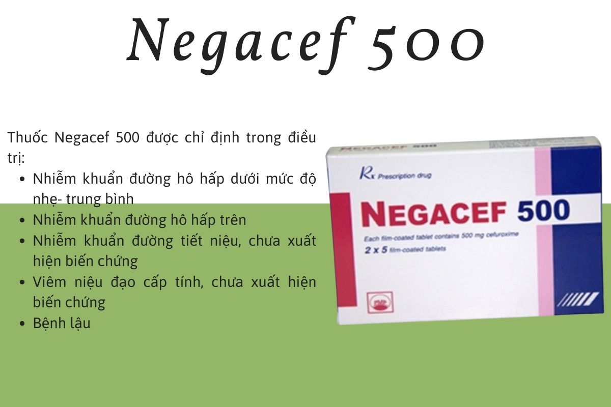 Negacef 500 điều trị nhiễm khuẩn nhẹ - trung bình