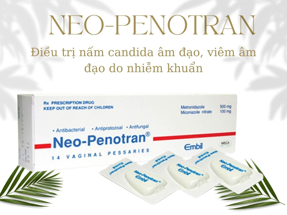 Neo-Penotran điều trị nấm candida âm đạo, viêm âm đạo do nhiễm khuẩn