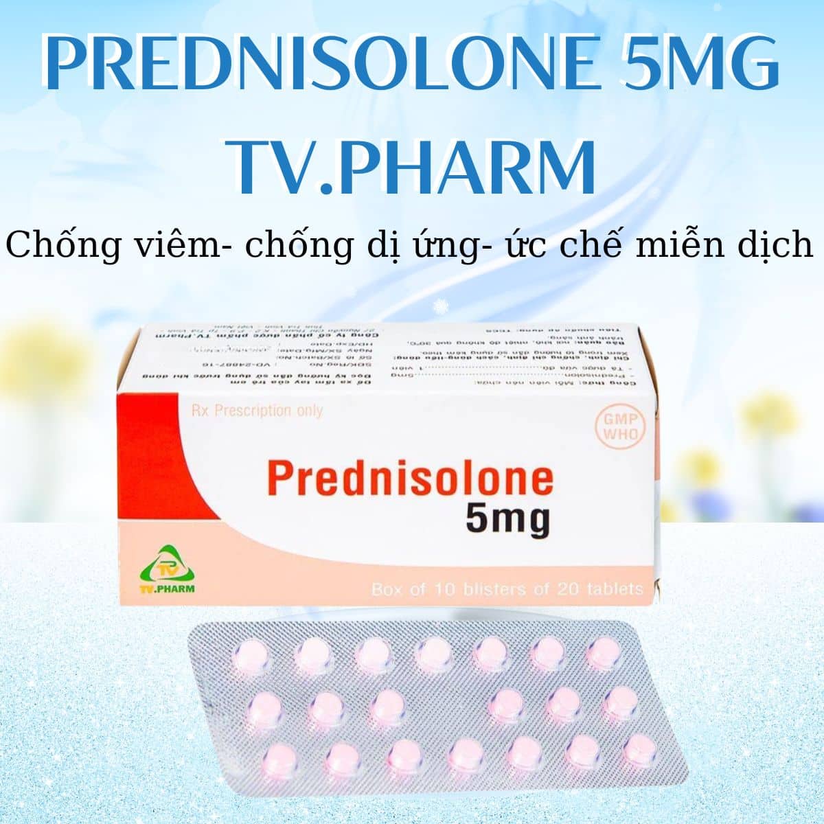 Prednisolone 5mg TV.Pharm giảm viêm, chống dị ứng, ức chế miễn dịch