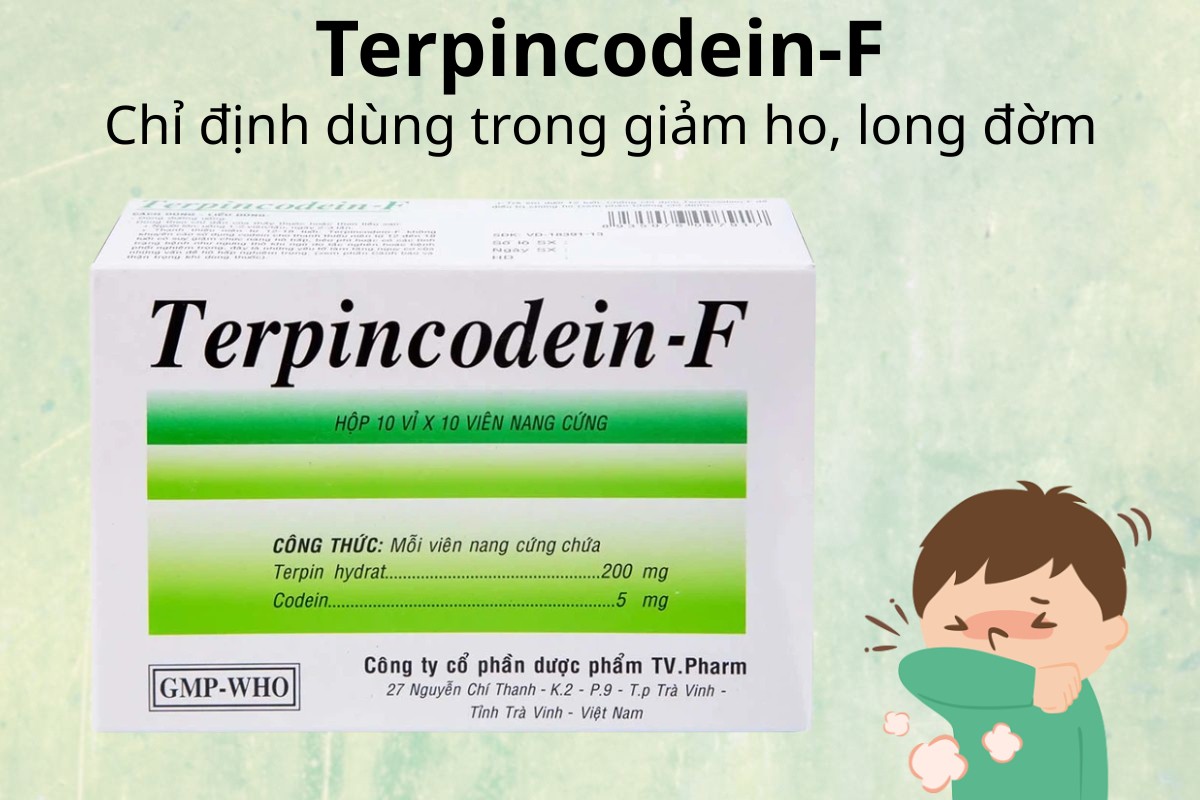 Terpincodein-F 12 Terpincodein-F chỉ định dùng trong giảm ho, long đờm