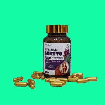Tía Tô Cao Gắm Goutto Flex