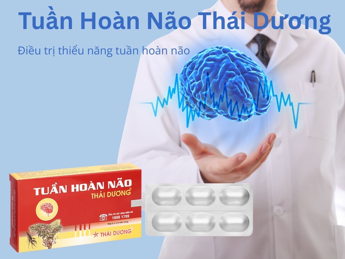 Tuần Hoàn Não Thái Dương 14 Tuần Hoàn Não Thái Dương