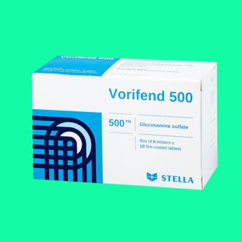 Vorifend 500