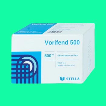 Vorifend 500