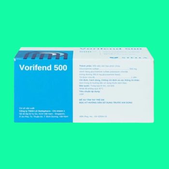 Vorifend 500
