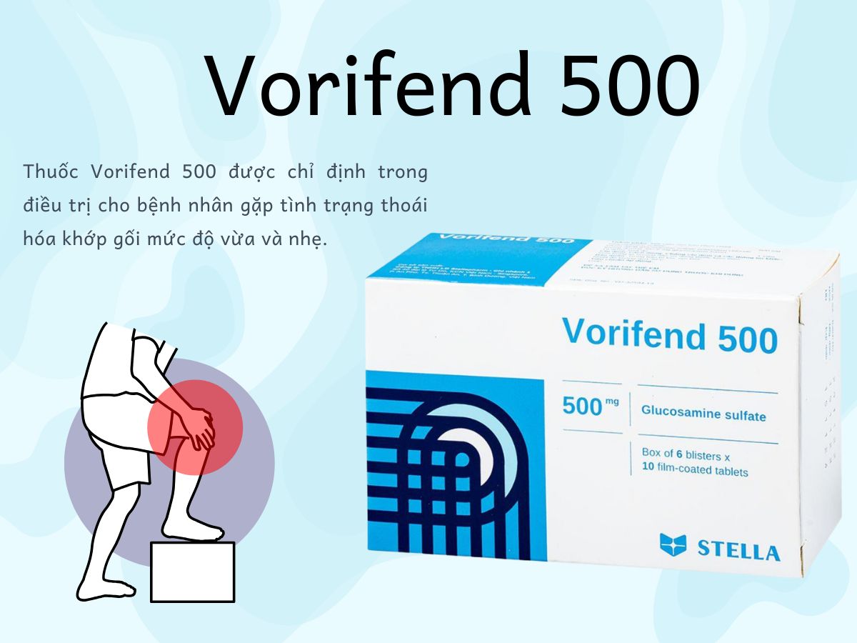 Vorifend 500 10 Vorifend 500 cải thiện triệu chứng thoái hóa khớp gối nhẹ đến vừa