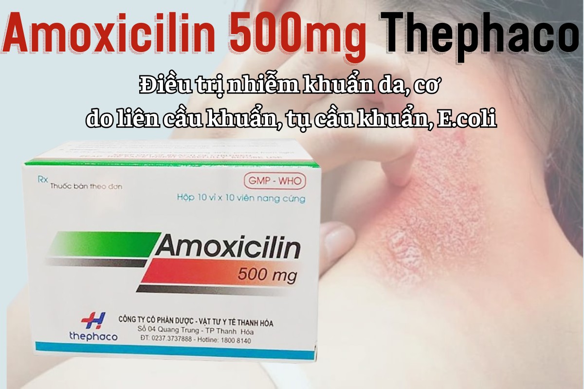 Amoxicilin 500mg Thephaco 6 Amoxicilin 500mg Thephaco điều trị nhiễm khuẩn da, cơ do liên cầu khuẩn, tụ cầu khuẩn, E.coli