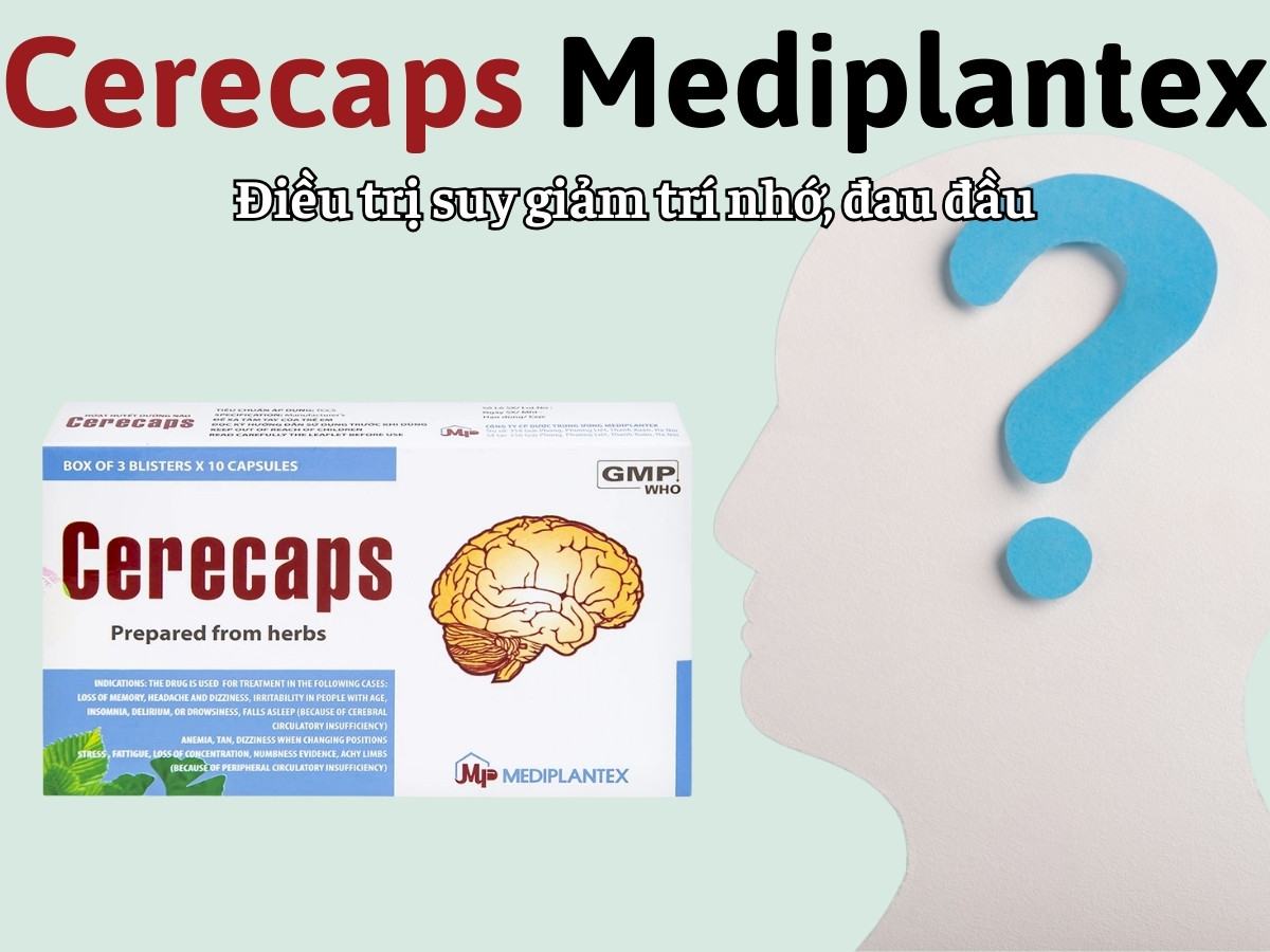 Cerecaps Mediplantex 11 Cerecaps Mediplantex điều trị suy giảm trí nhớ, đau đầu