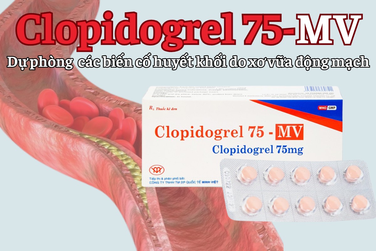 Clopidogrel 75-MV 8 Clopidogrel 75-MV dự phòng biến cố huyết khối