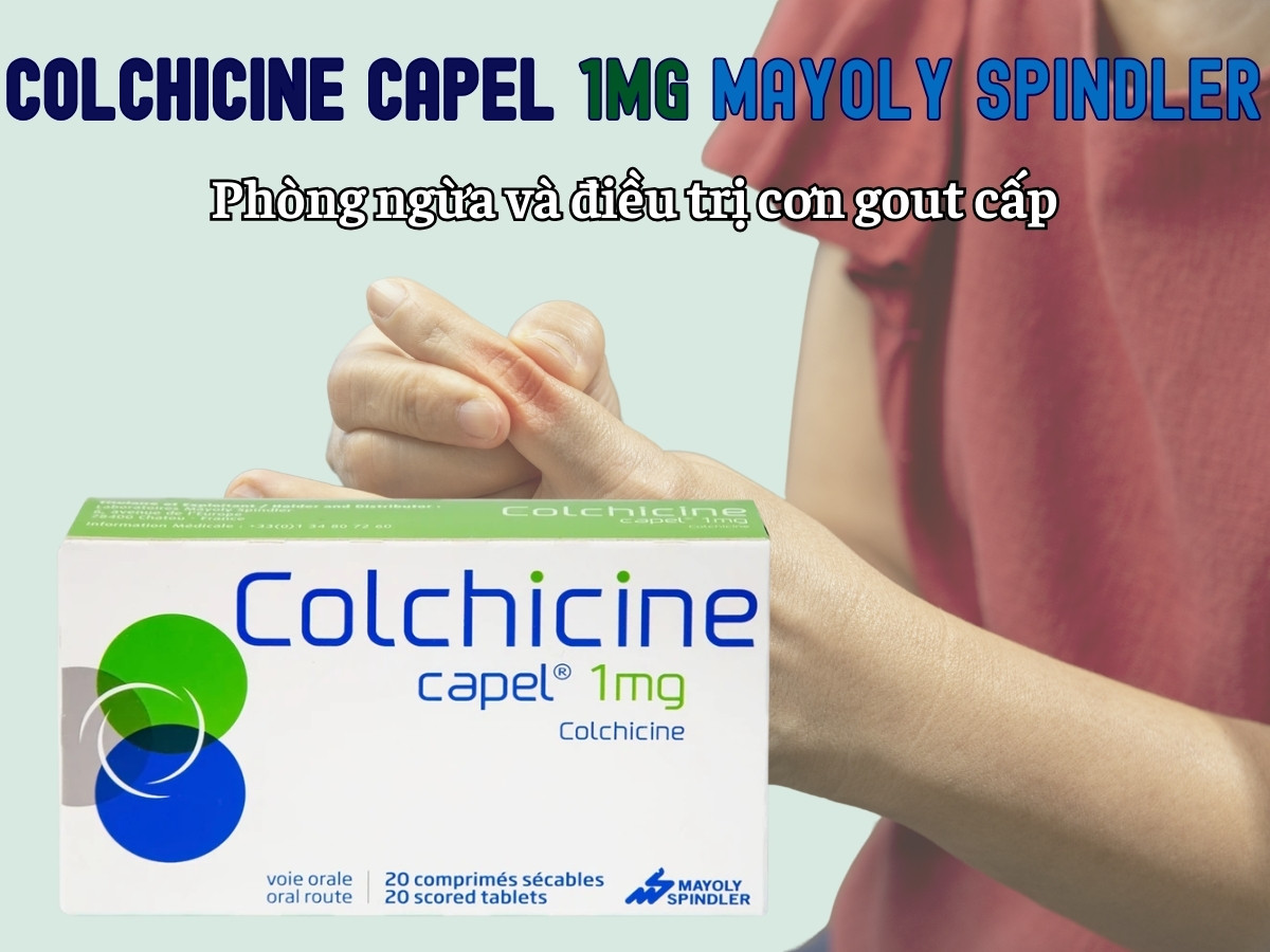 Colchicine Capel 1mg Mayoly Spindler phòng ngừa và điều trị cơn gout cấp