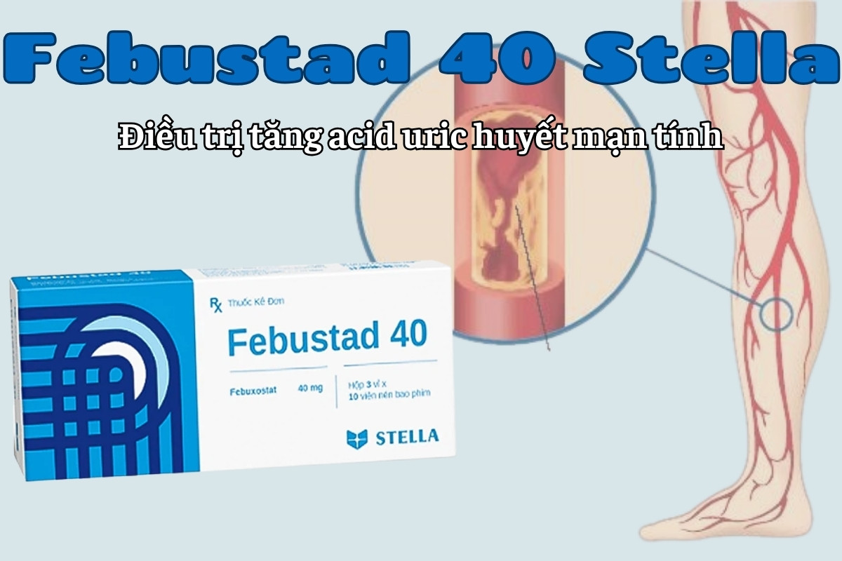 Febustad 40 Stella điều trị tăng acid uric huyết mạn tính