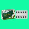 Giloba 40mg MEGA We care