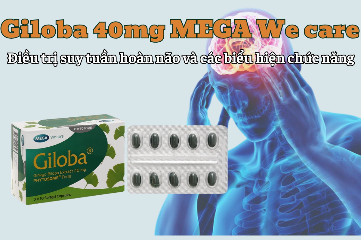 Giloba 40mg MEGA We care điều trị suy tuần hoàn não