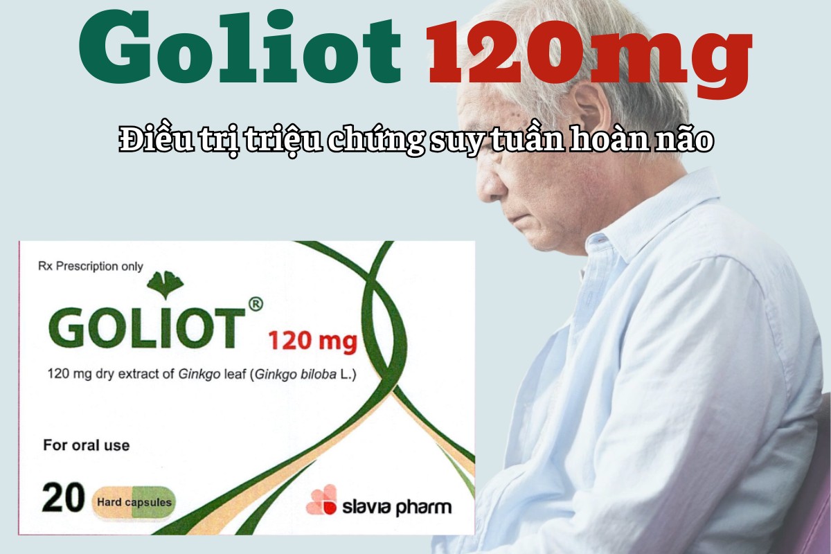 Goliot 120mg điều trị triệu chứng suy tuần hoàn não