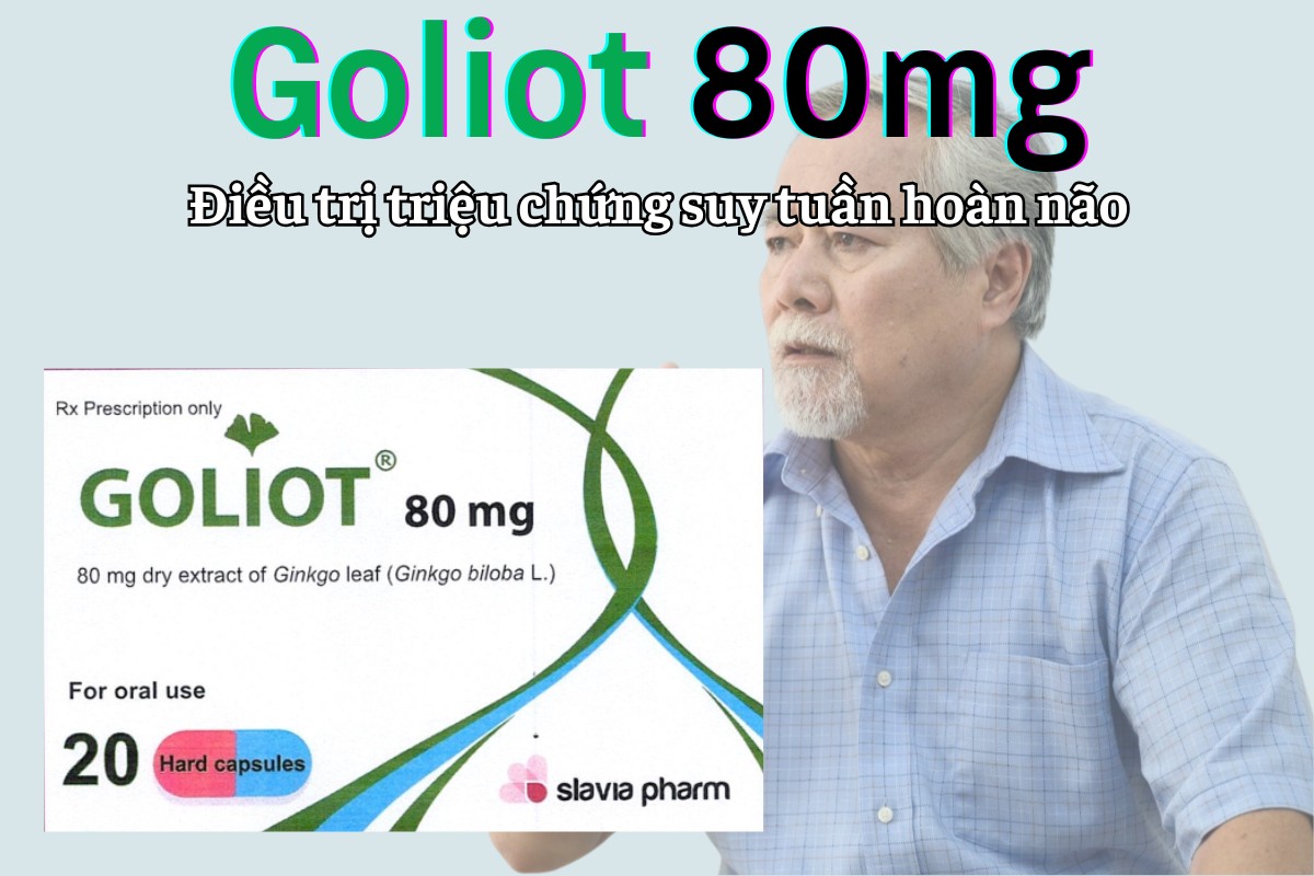Goliot 80mg 6 Goliot 80mg điều trị triệu chứng suy tuần hoàn não