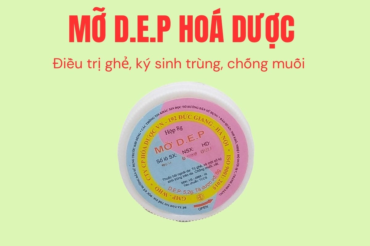 Mỡ D.E.P Hóa Dược 6 Mỡ D.E.P Hóa Dược