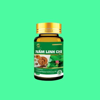 Nấm Linh Chi Plus