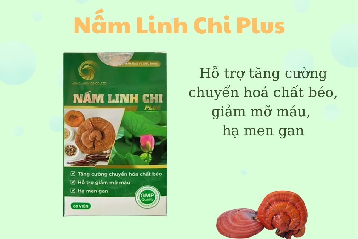 Nấm Linh Chi Plus