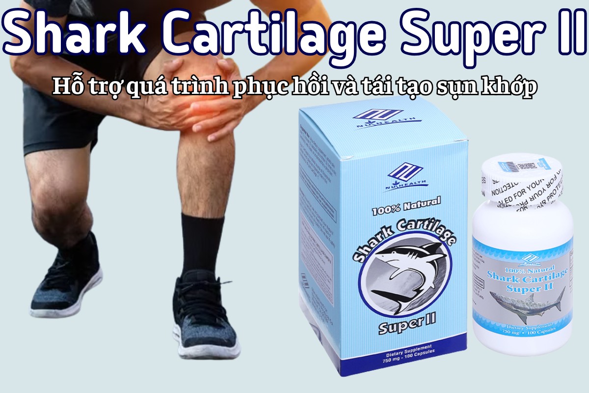 Shark Cartilage Super II hỗ trợ phục hồi và tái tạo sụn khớp