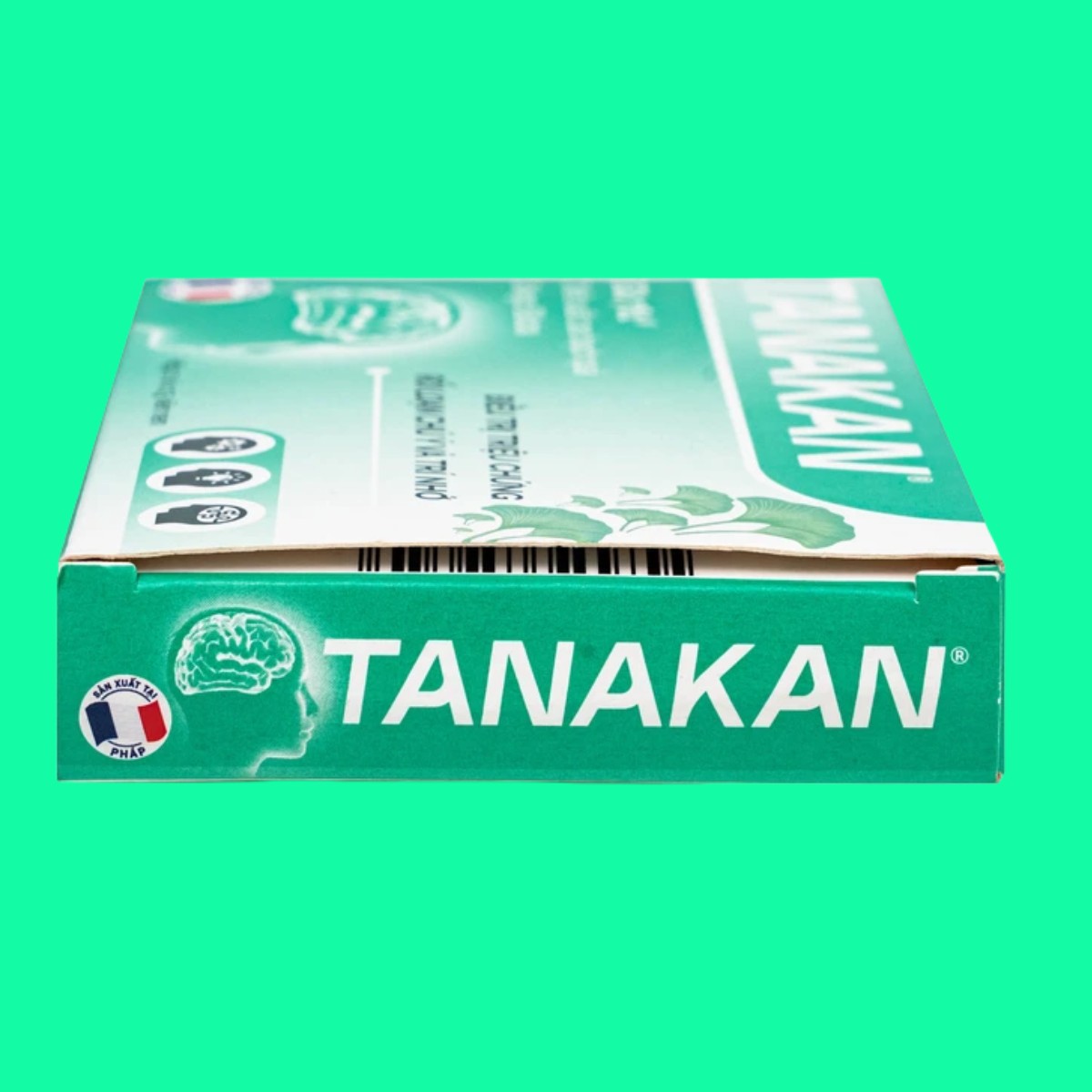 tanakan-40mg-6 Tanakan 40mg