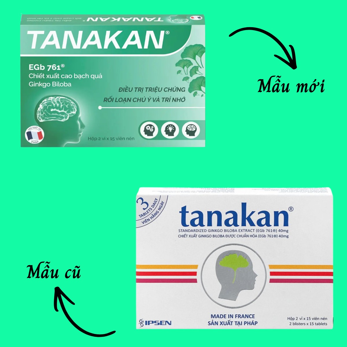 tanakan-40mg-9 Tanakan 40mg