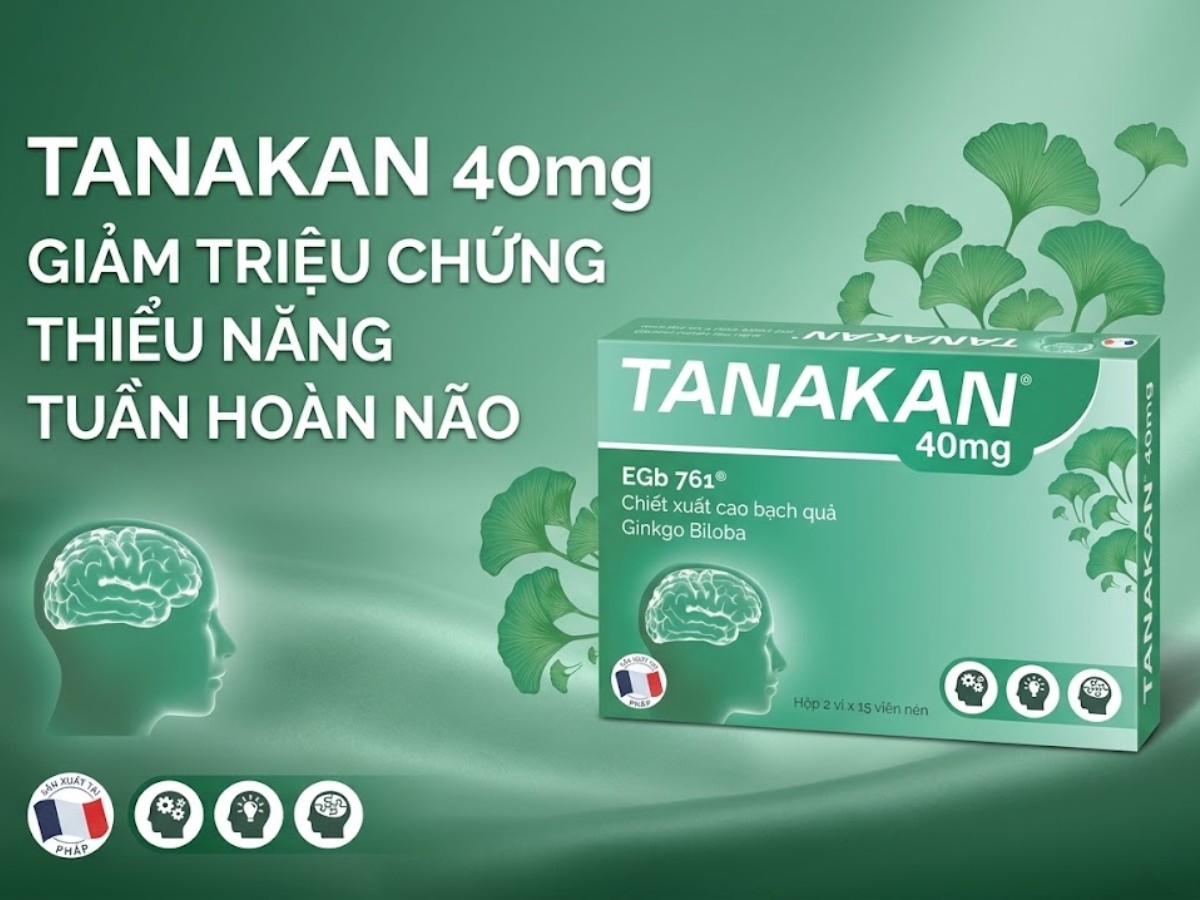 Tanakan 40mg 12 Tanakan 40mg giảm triệu chứng thiểu năng tuần hoàn não