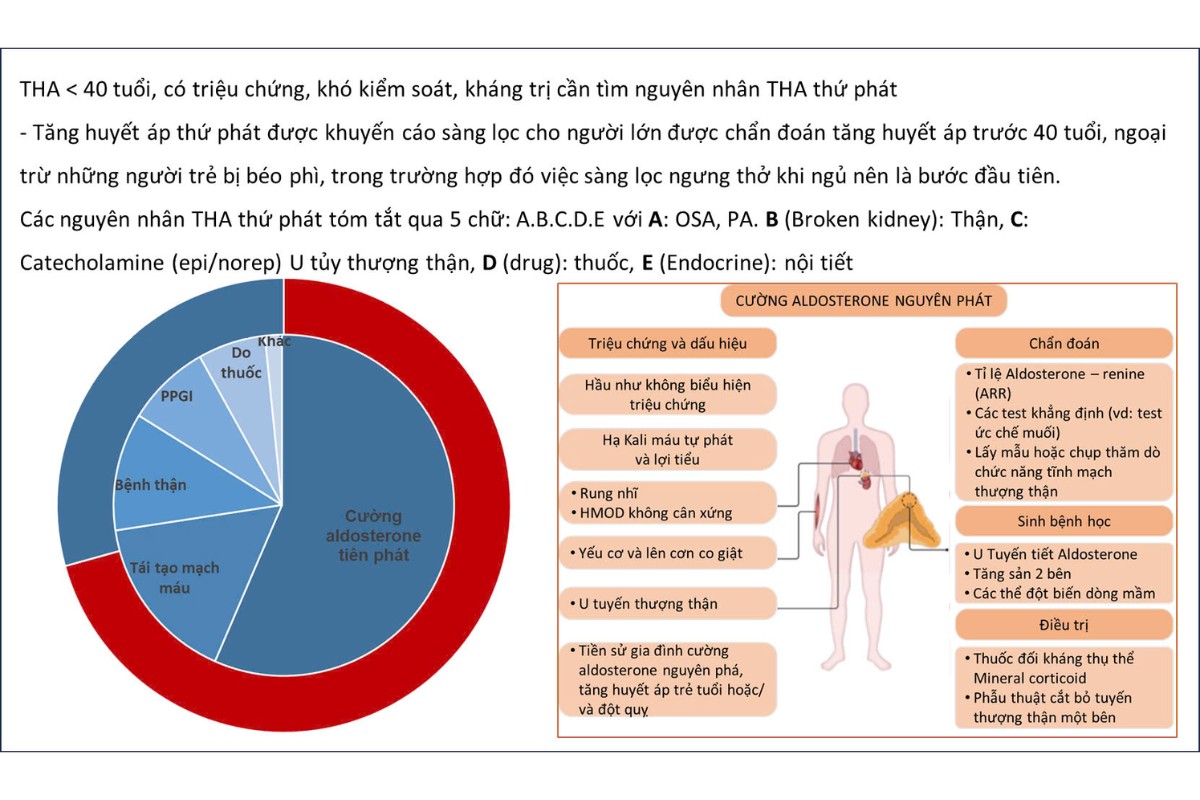 Hình 7. Các nguyên nhân tăng huyết áp thứ phát ở người dưới 40 tuổi
