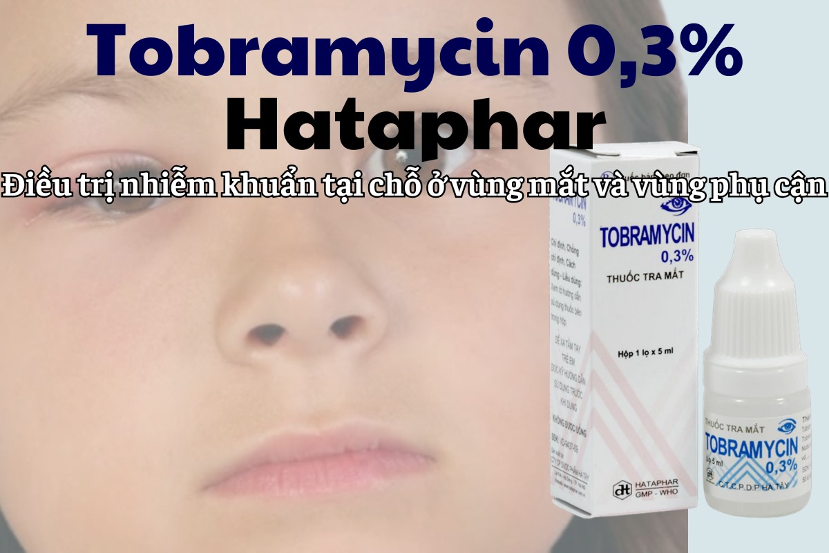 Tobramycin 0.3% Hataphar điều trị nhiễm khuẩn mắt
