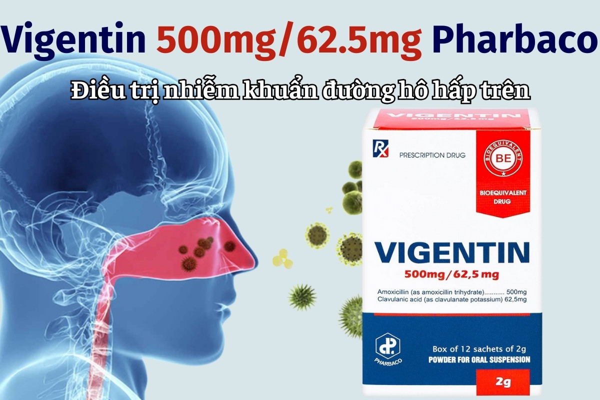 Vigentin 500mg/62.5mg Pharbaco điều trị nhiễm khuẩn đường hô hấp trên
