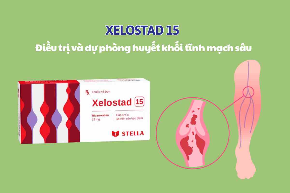 Thuốc Xelostad 15 điều trị huyết khối tĩnh mạch, thuyên tắc phổi