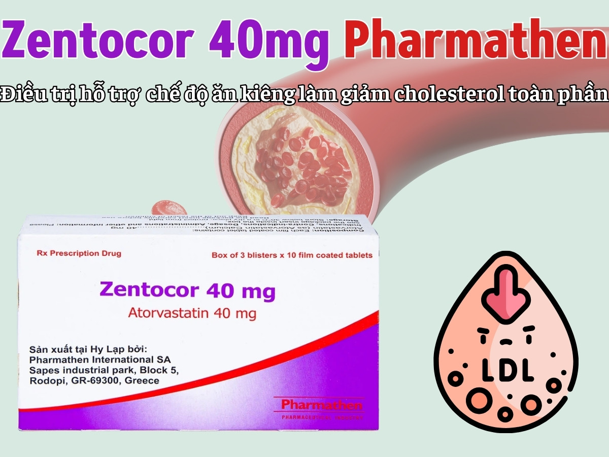 Zentocor 40mg Pharmathen 8 Zentocor 40mg Pharmathen điều trị hỗ trợ cho chế độ ăn kiêng làm giảm cholesterol toàn phần