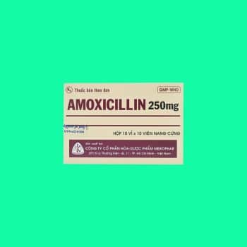 Amoxicillin 250mg Mekophar