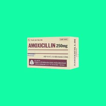 Amoxicillin 250mg Mekophar
