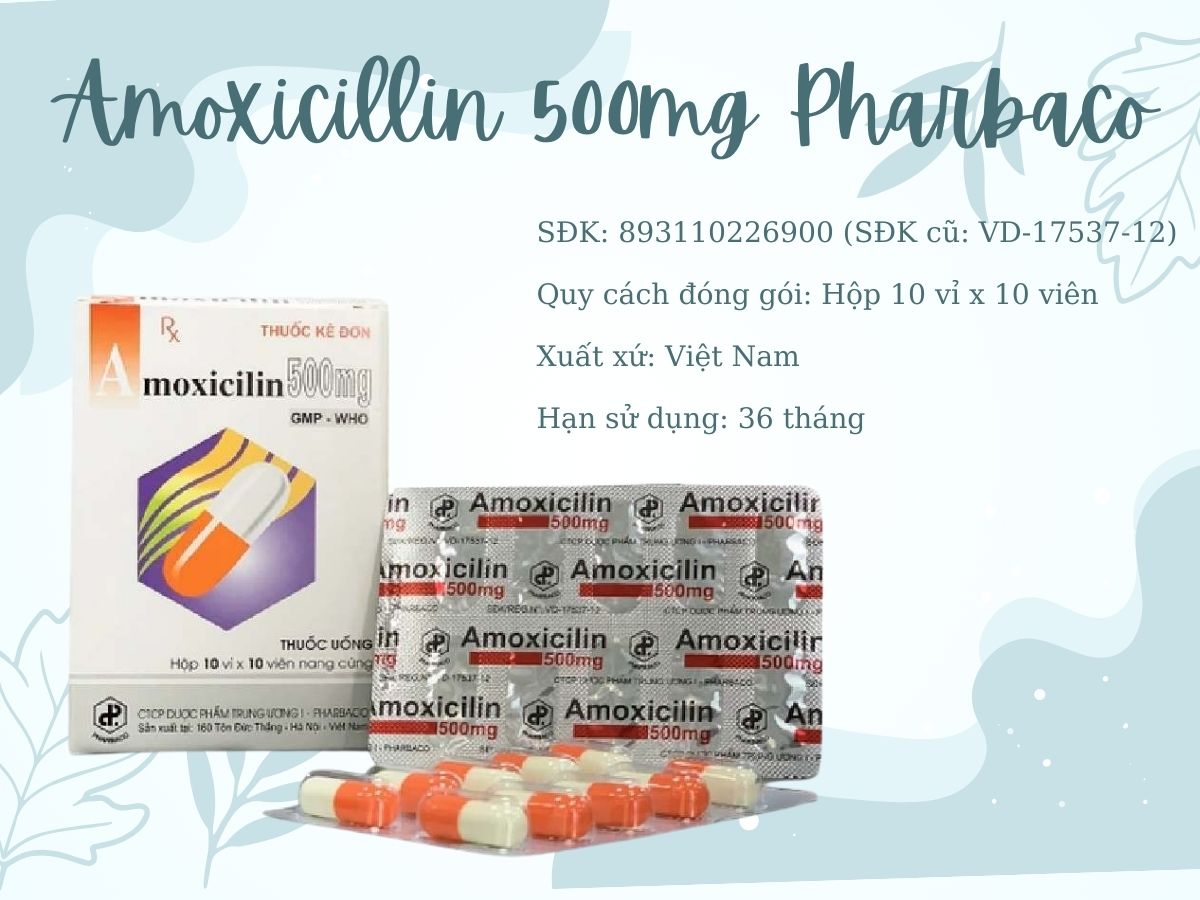 Thông tin thuốc Amoxicillin 500mg Pharbaco
