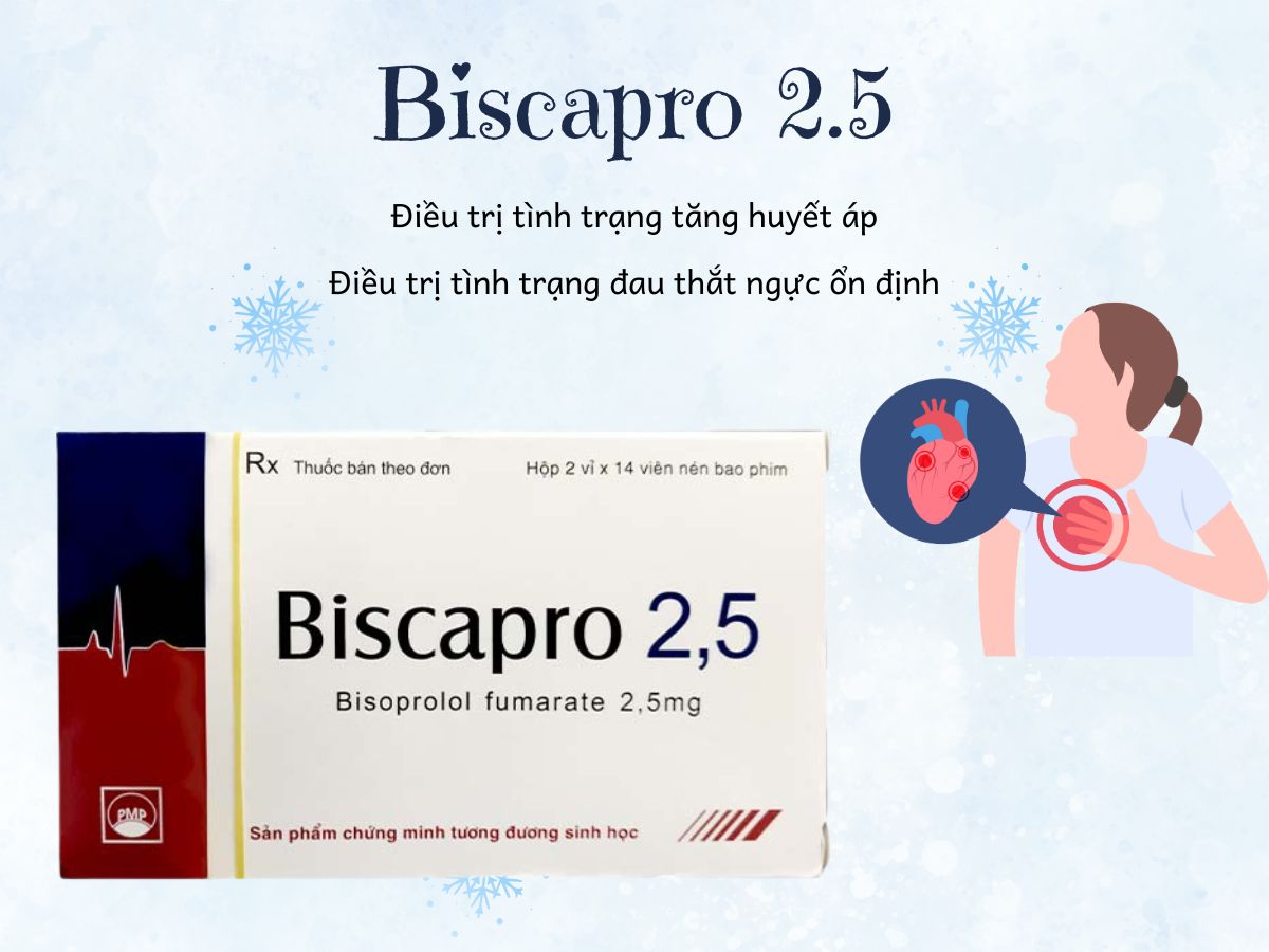 Biscapro 2.5 8 Thuốc Biscapro 2.5 điều trị đau thắt ngực mạn tính, tăng huyết áp
