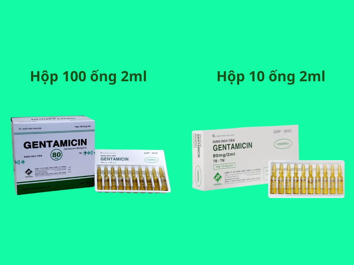 Các quy cách đóng gói của Gentamicin 80mg/2ml Vidipha