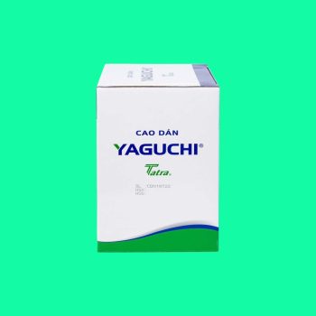 Cao dán Yaguchi