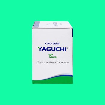 Cao dán Yaguchi